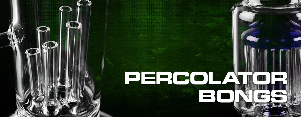Percolator Bongs Percolator Bongs
